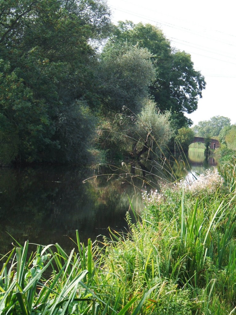 Loughborough Canal walk